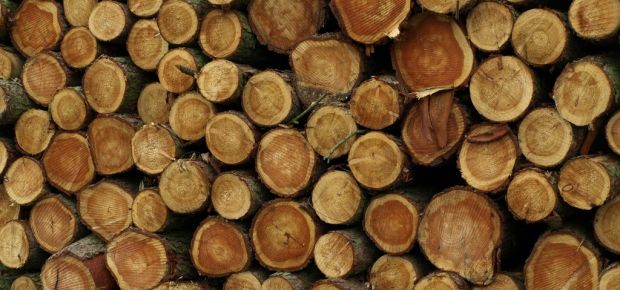 Timber