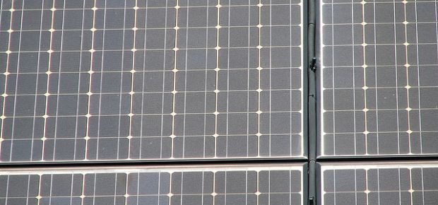 Solar by elrentaplants