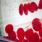 Perfectus Biomed win £100k from North West Fund