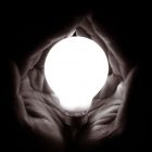 Show Me The Light